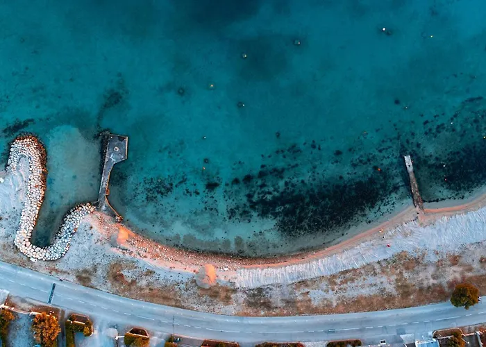 At Grandpa's Lejlighed